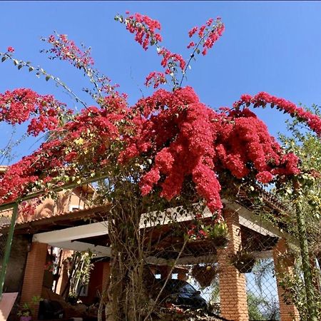 Refugio Luz Do Sol Villa ไมริโปรัง ภายนอก รูปภาพ