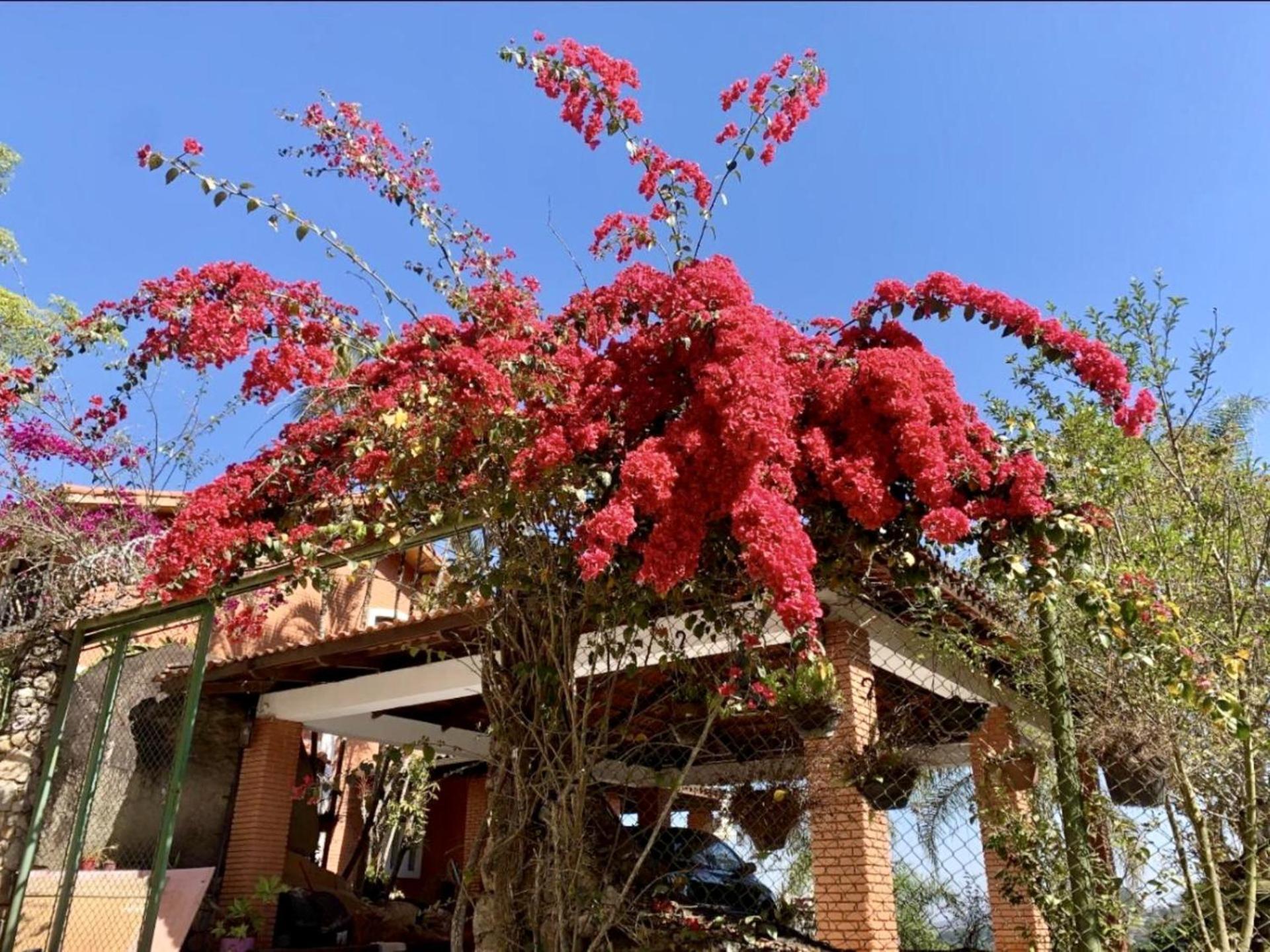 Refugio Luz Do Sol Villa ไมริโปรัง ภายนอก รูปภาพ